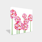 Pink  Allium (20" x 20")