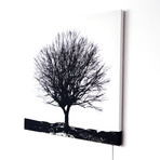 Tree Glo Canvas (25.59" sq. x .79" thick)