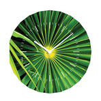 PalmLeaf AboutFaceClock