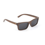 Robinson Sunglasses // Brown