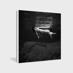 Weeki Wachee Spring, Florida (1947)