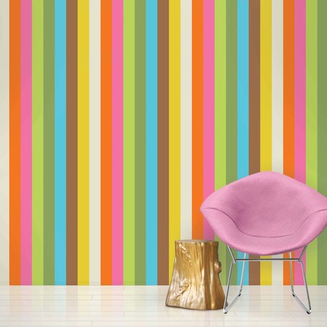 French Bull Izzy (Half)