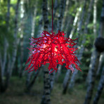 Abstraction Pendant Light (organic/branches) // Red (Red Cord)