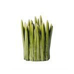 Grass Vase // Large