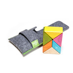 Tegu Pocket Pouch // Tinted // 6 Pieces  (Tints)