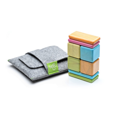 Tegu Pocket Pouch // Tinted // 8 Pieces  (Tints)