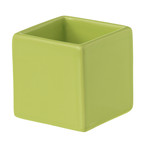 Cube Bowl (Citronelle)