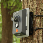 Bird Watch Camera