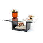 Rectangular Glass Center Table // Graphite Oak