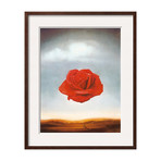 Salvador Dalí // Rose Meditative (Black Frame)