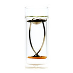 JOEfish French Press Glass // Set of 2