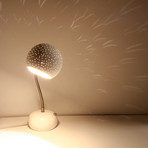 Porcupine Desk Lamp // Lines