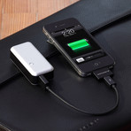 Gum™ Portable USB Power Pack // Silver