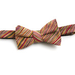 Vintage Painterly Mini Stripe Bow Tie