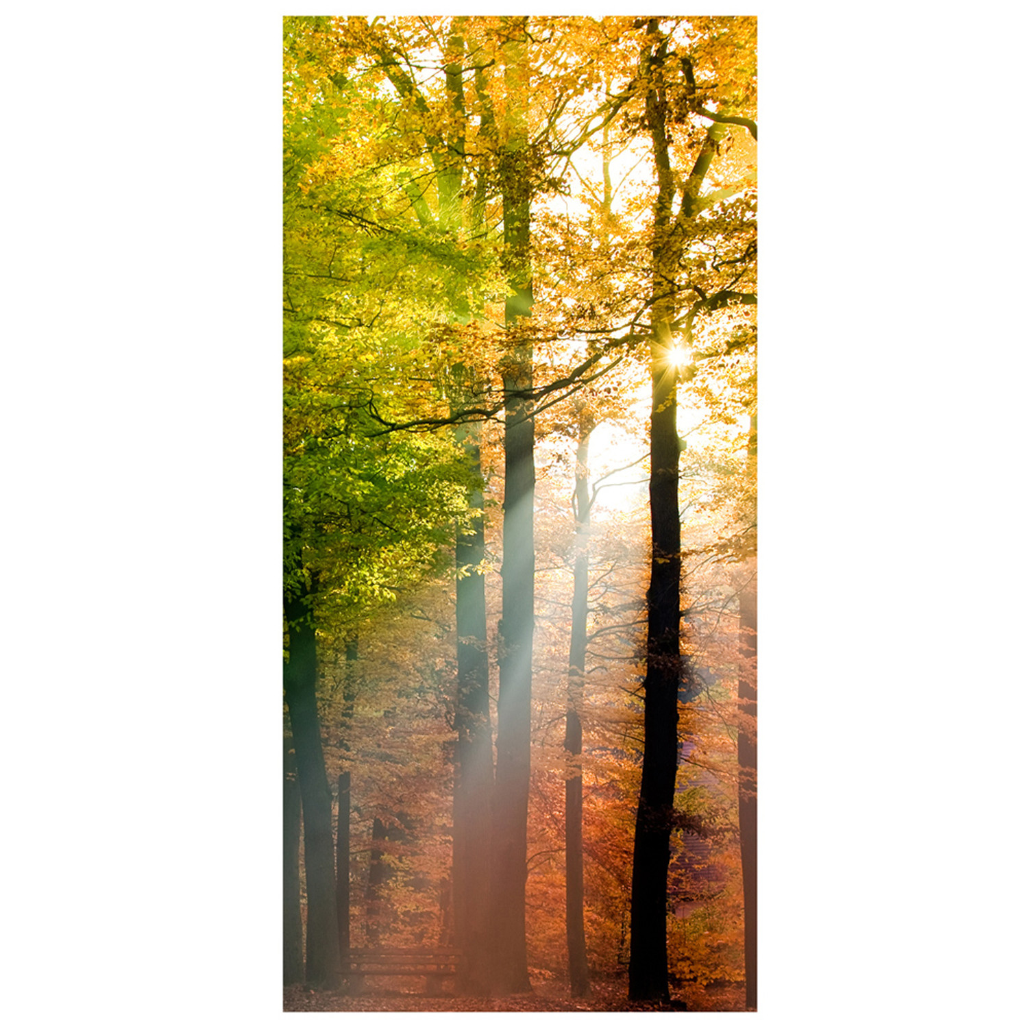 Forest Lights - Mantiburi Door Paper - Touch of Modern