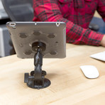 Roklock iPad Suction Window Mount