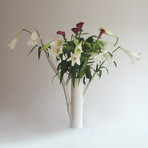 Roos Branch Vase // Two