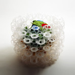 Bubble Basket A // Packaged