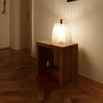 Pendant Lamp // Rolf 