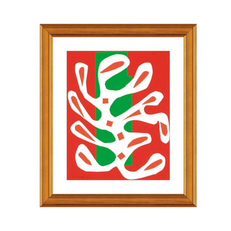 Henri Matisse // White Alga on Red + Green Ground