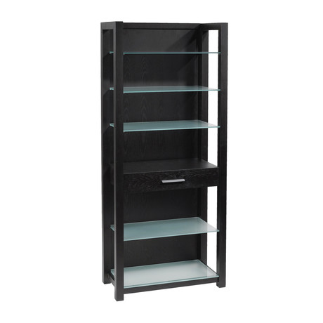 Formal Shelving Unit // Wenge + Silver Printed Glass