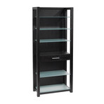 Formal Shelving Unit // Wenge + Silver Printed Glass