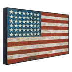 Jasper Johns // Flag, 1954