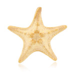 Gold Starfish Ring (Size 5)