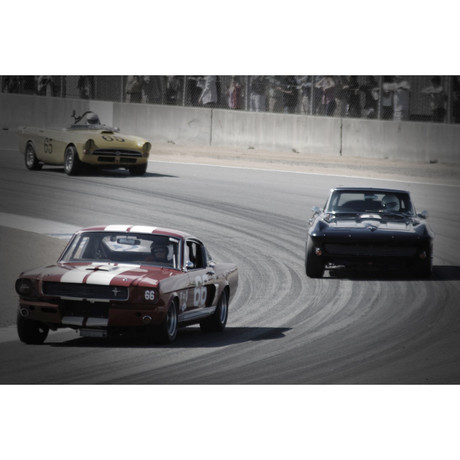Mustang and Corvette Racing