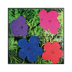 Andy Warhol // Flowers, c. 1964 // Purple, Blue, Pink, Red