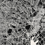 Tokyo Map Art Print