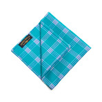 Pocket Square // Deadstock Sea Green + Royal