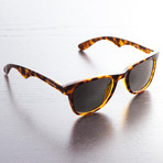 Carrera Sunglasses // 6000/S-0791 SP