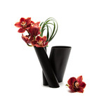 Bana // Triple Stem Vase