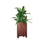 Fitzgerald Planter // Walnut