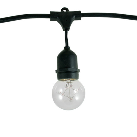 Outdoor String Light Kit // Starlight G16 Bulbs Included