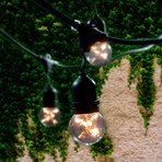 Outdoor String Light Kit // Starlight G16 Bulbs Included