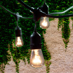 Outdoor String Light Kit // S14 Bulbs Included