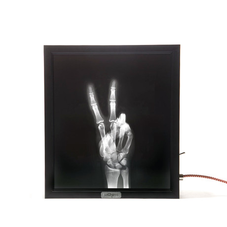 Mentalpieces X-Ray Light Box // The Longbowman
