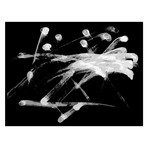 Fruit Ninja // Black + White (Canvas Print)