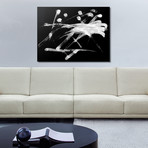 Fruit Ninja // Black + White (Canvas Print)