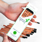 Sprout Pencils // Set of 8 (Herbs)