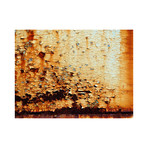 Rustic Sienna (18"x12")