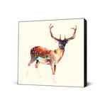 Deer Wearing Gym Socks