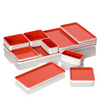 Food Tray // 11 Piece Set (Tangerine Tango)