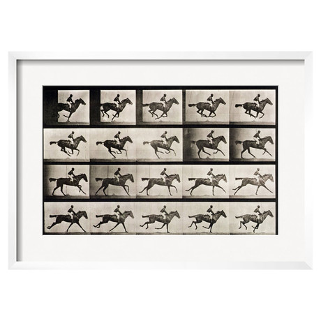Jockey on a Galloping Horse, from "Animal Locomotion," 1887 (Chelsea White Wood Frame)