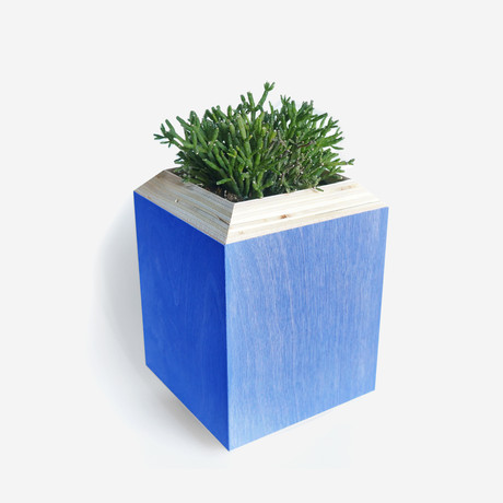 Yield Planter Box // Cobalt