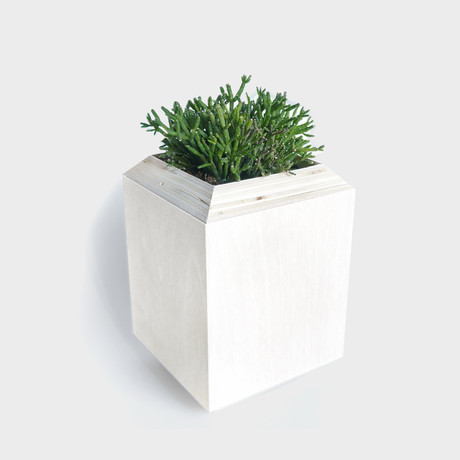 Yield Planter Box // White