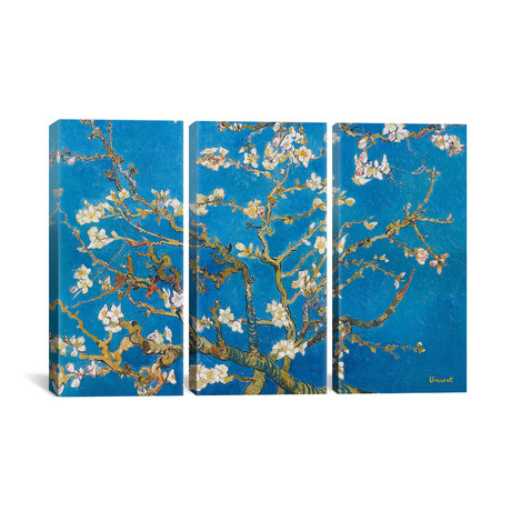 Almond Blossom by Vincent Van Gogh // Triptych (3 Piece: 60"L x 40"H)
