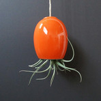 Hanging Air Plant Pod // Orange (1.5"L x 1.5"W x 3.25"H)